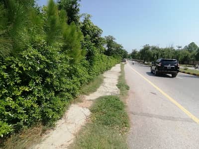 4800 Square Feet Commercial Plot In G-8 For sale At Good Location