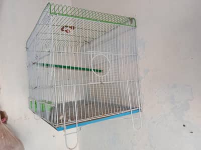 cage raw parat