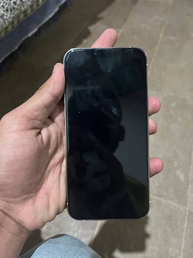 Apple iPhone 13 Pro Max 2