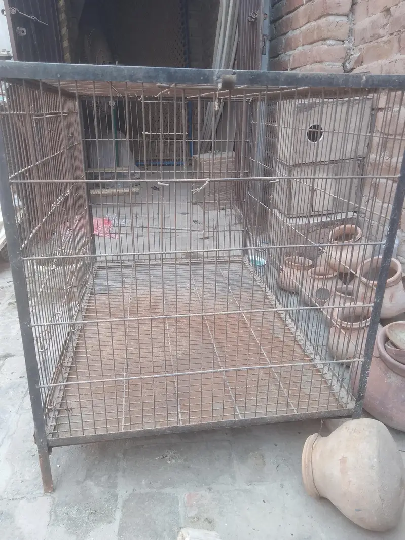 breedar pair full active — photo 7