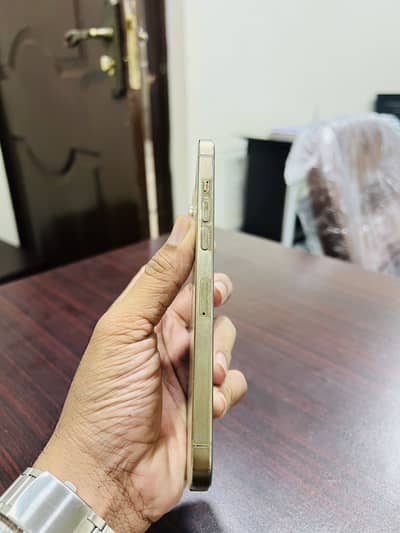 Apple iPhone 12 Pro Max
