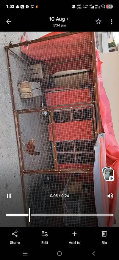 pigeon cage for sale