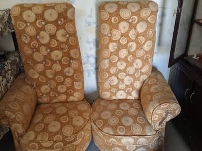 shahi chairs