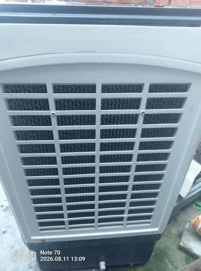best for summer season