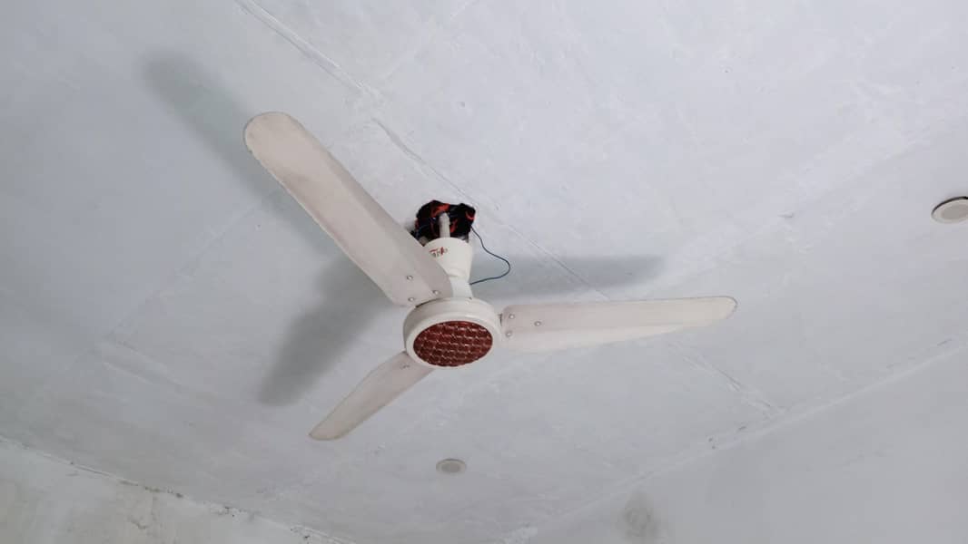 ceiling fan 1