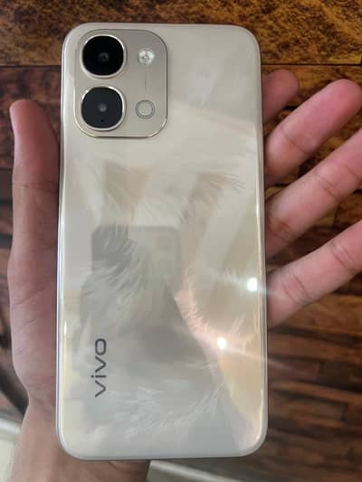 vivo y 31D