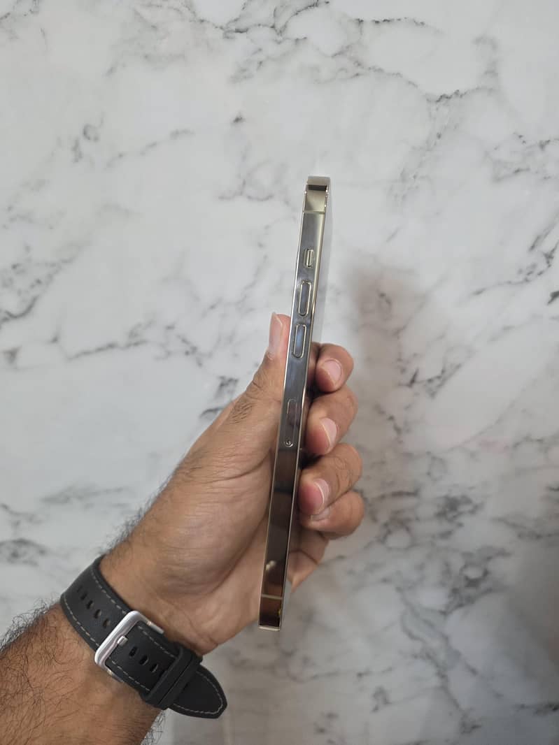 Apple iPhone 14 Pro Max 1