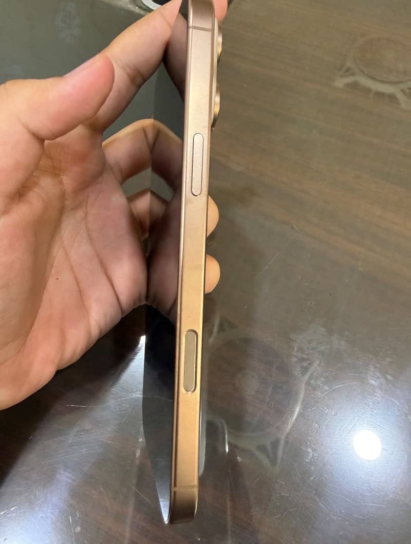 Apple iPhone 16 Pro Max 1