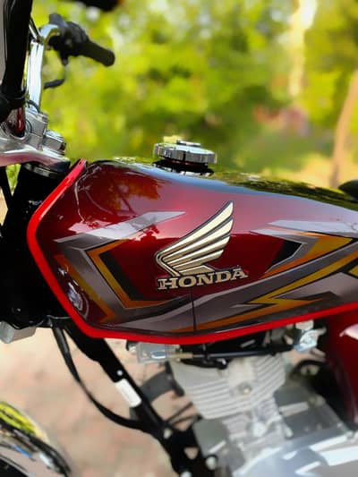 Honda CG 125 2025 Red Lush PREMIUM Class Honda FOR SALE!