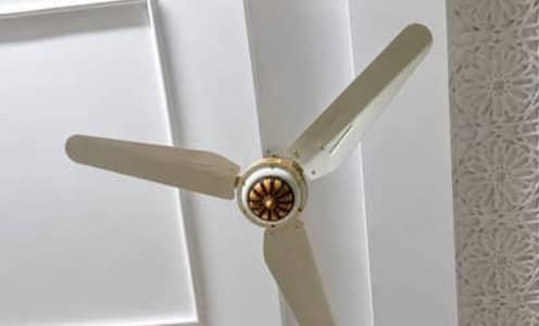 Used Ceiling Fans For sale ( Brand new condition )