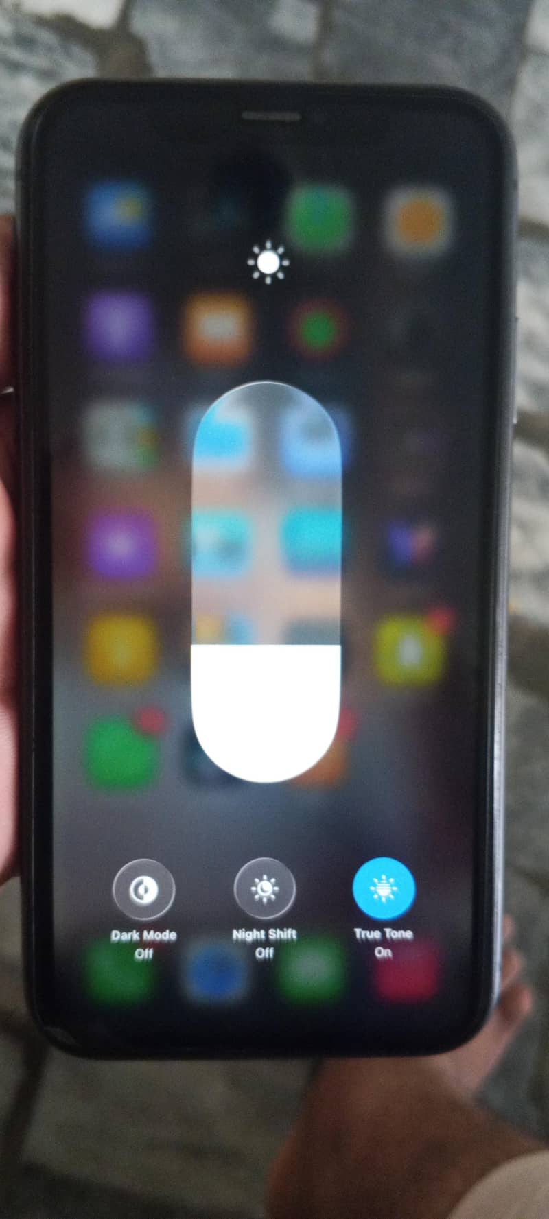 Apple iPhone 11 2