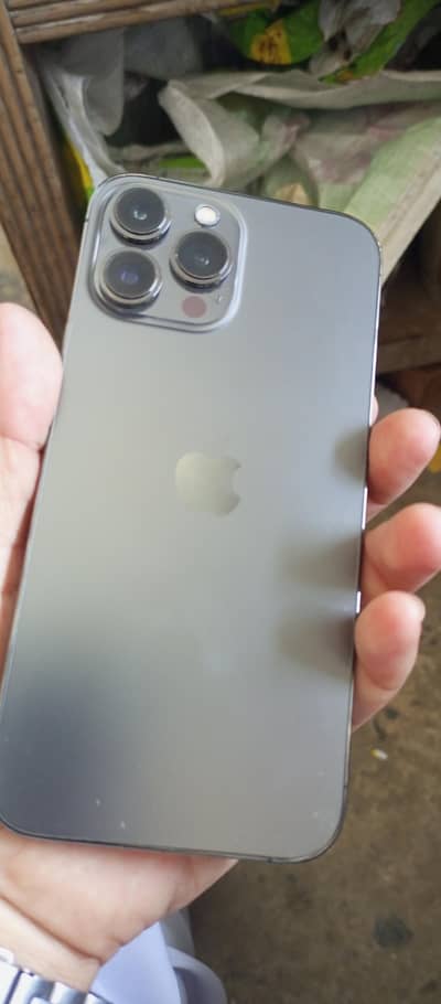Apple iPhone 13 Pro Max