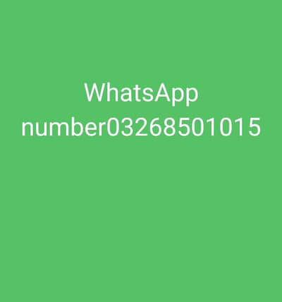 seal murga