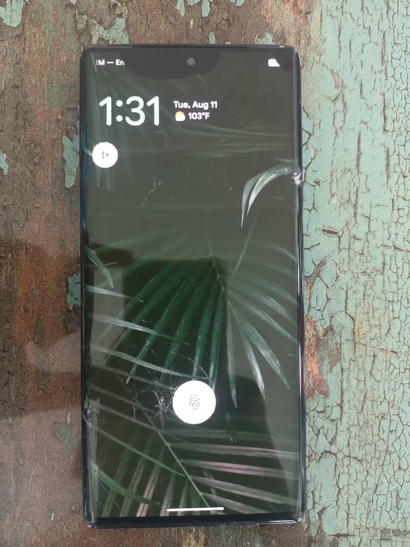 Google Pixel 6 Pro 0