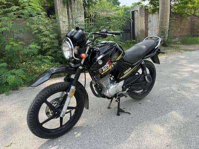 Yamaha YBR G