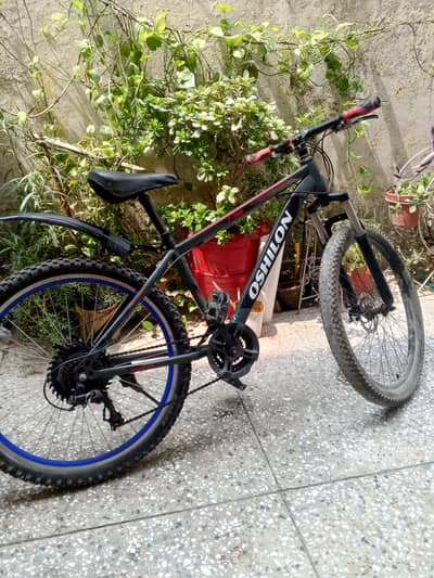 mountain bike for sale