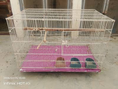 Ringneck Parrot Cage