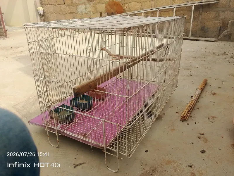 Ringneck Parrot Cage — photo 2