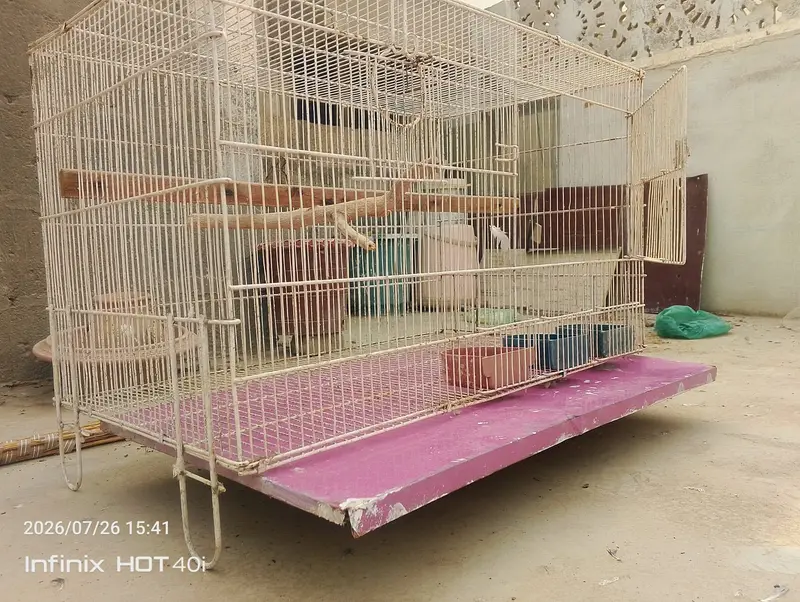 Ringneck Parrot Cage — photo 3