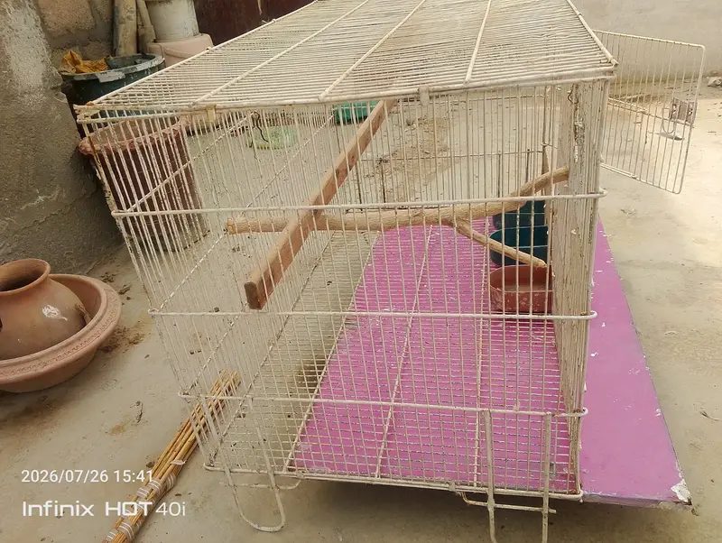 Ringneck Parrot Cage — photo 4