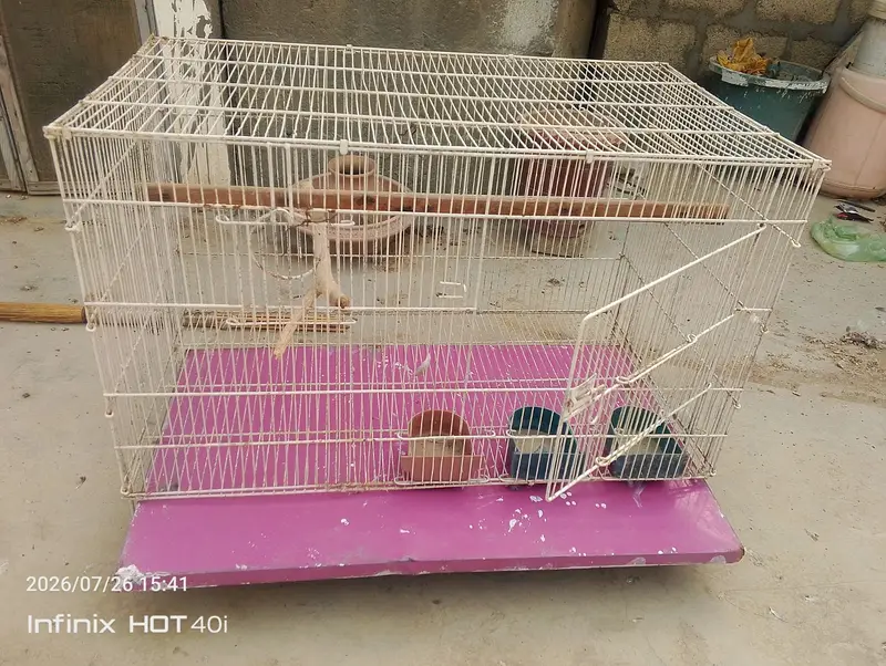 Ringneck Parrot Cage — photo 5