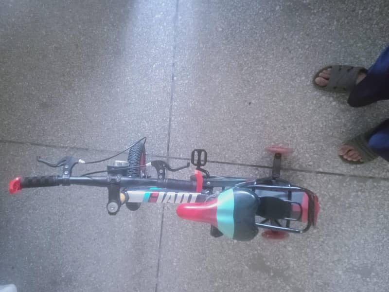cycle 1