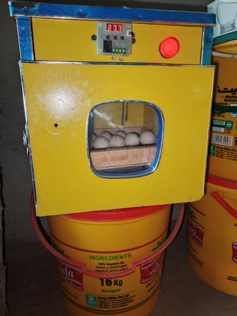 Incubator For hatching 0