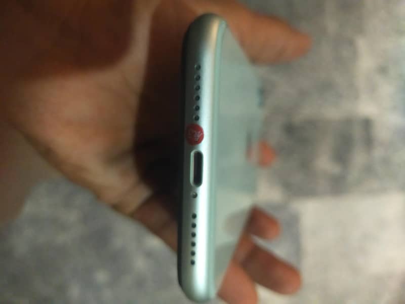 Apple iPhone 11 1