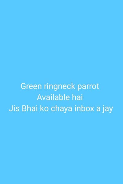 jis ko chaya inbox a jay