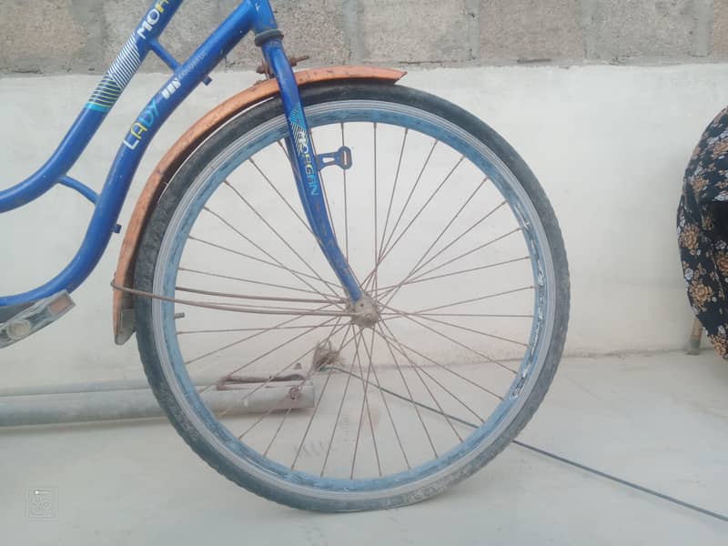 cycle 4