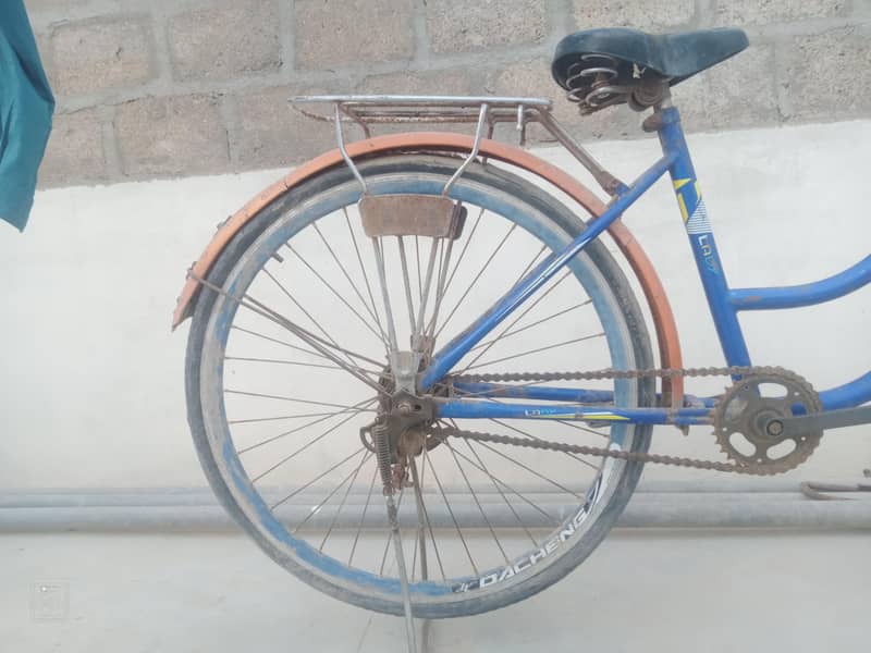 cycle 5
