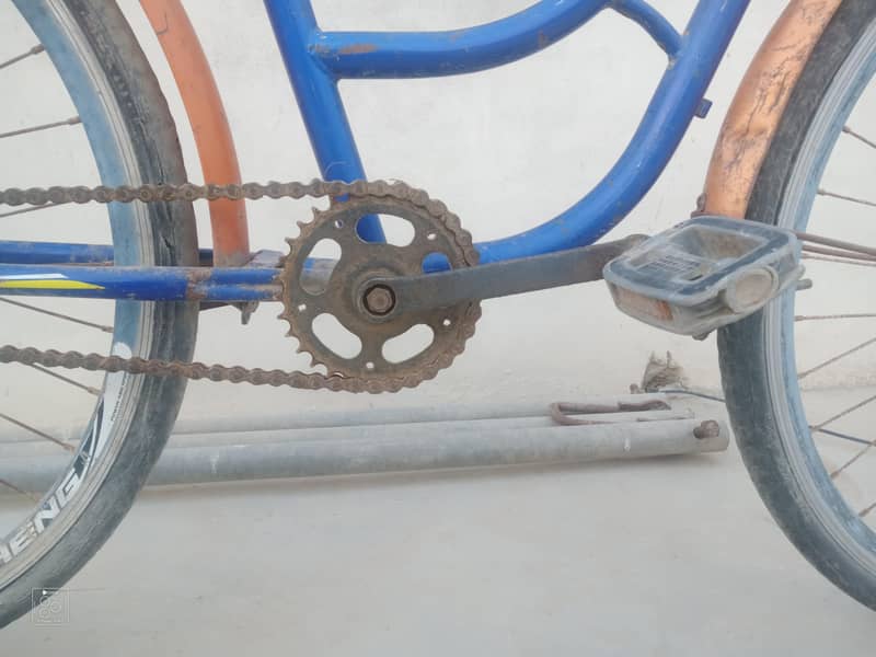 cycle 6