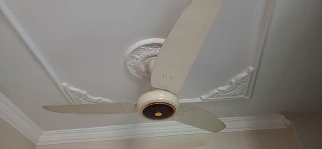 Royal Ceiling Fan AC (56 Inches Size)