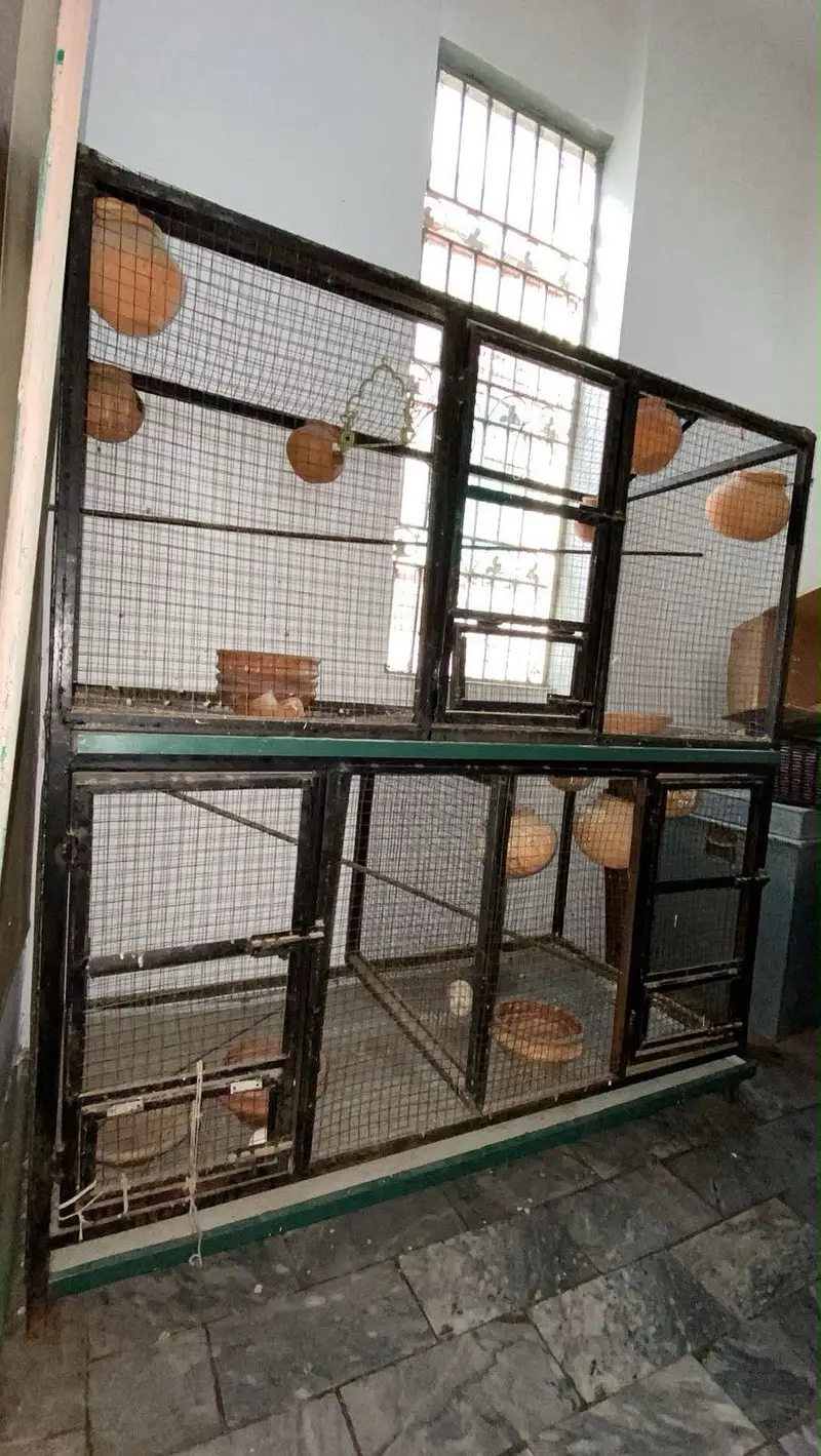 Double Portion Iron Cage – Strong & Durable | premium quality cage