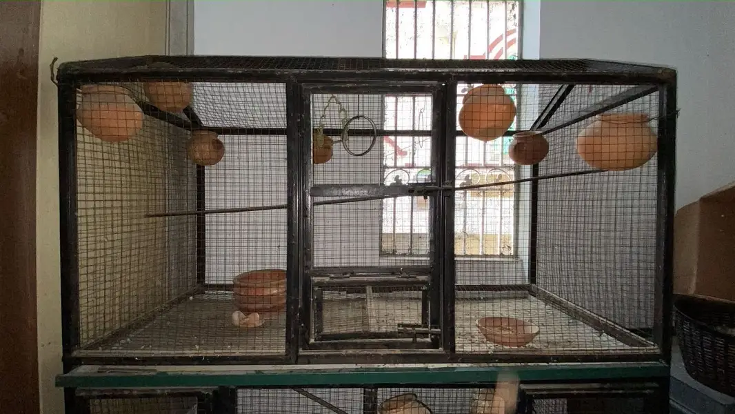 Double Portion Iron Cage – Strong & Durable | premium quality cage — photo 2