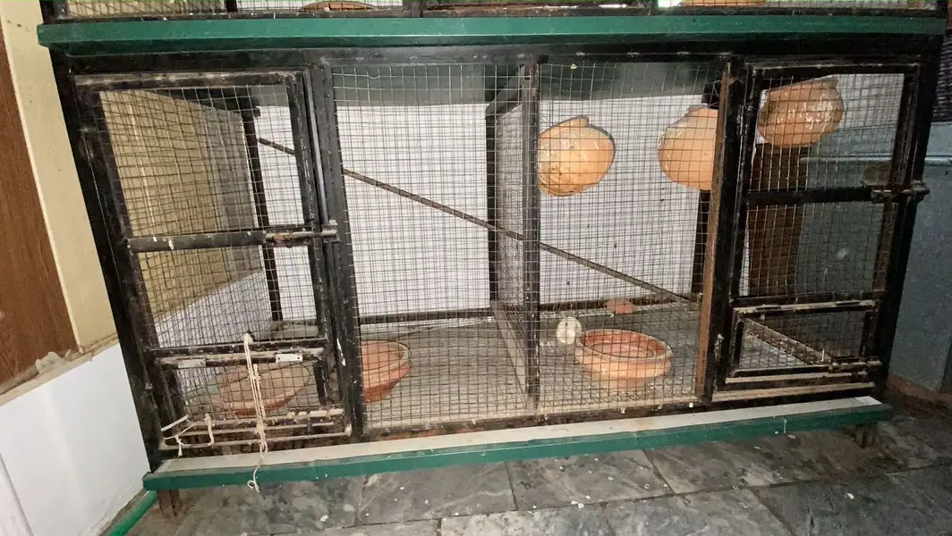 Double Portion Iron Cage – Strong & Durable | premium quality cage — photo 3