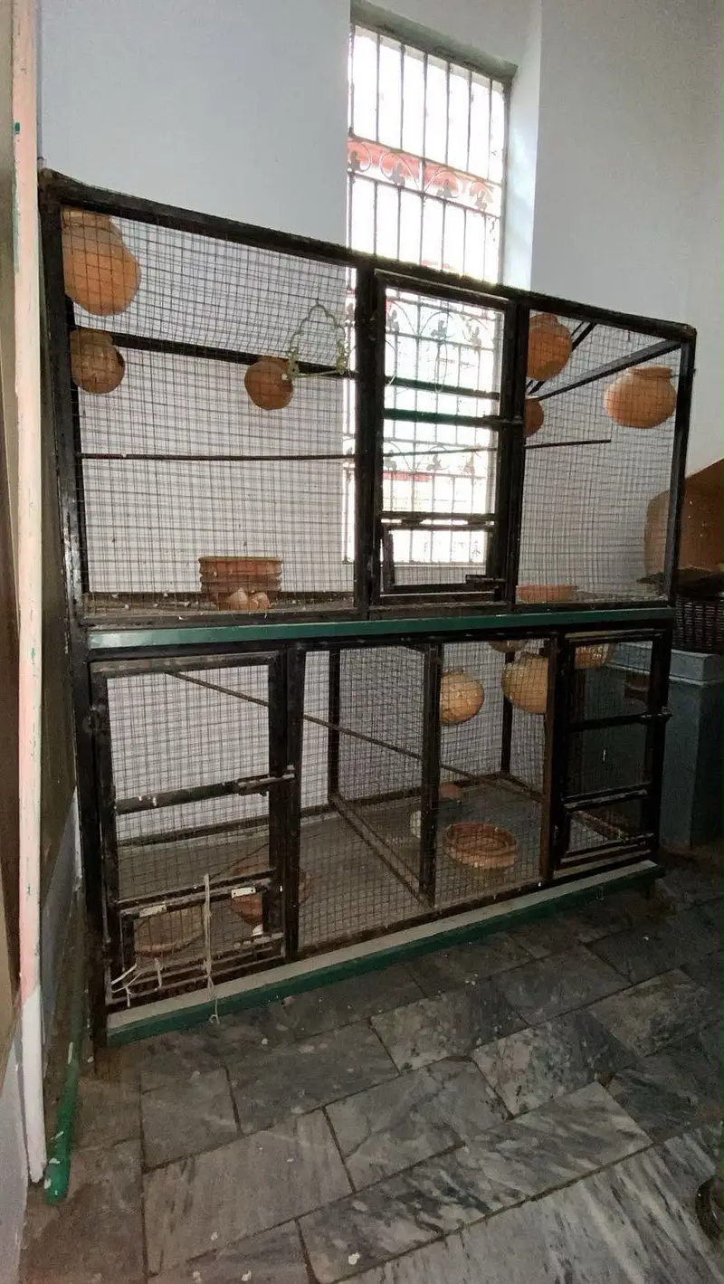 Double Portion Iron Cage – Strong & Durable | premium quality cage — photo 4
