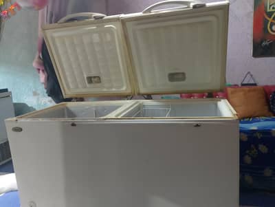 double door deep freezer