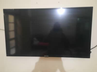 Ecostar LED for Sale