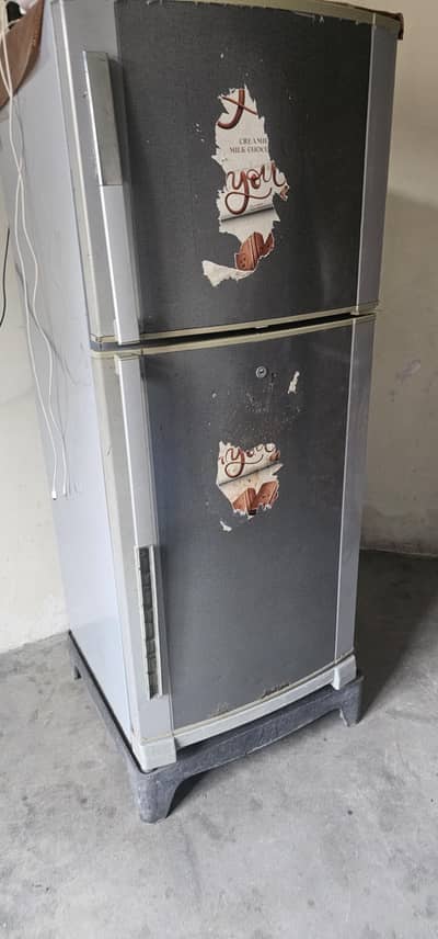 medium size fridge