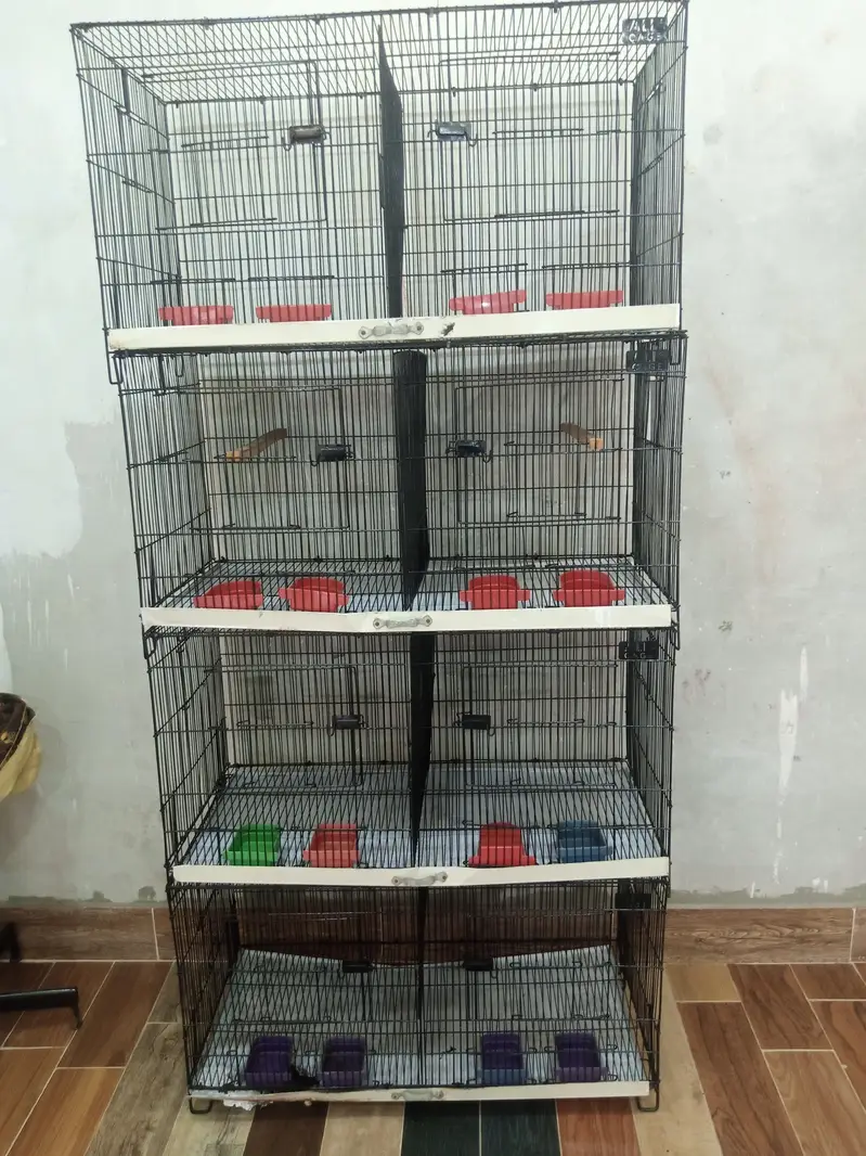 Birds cage good condition — photo 2