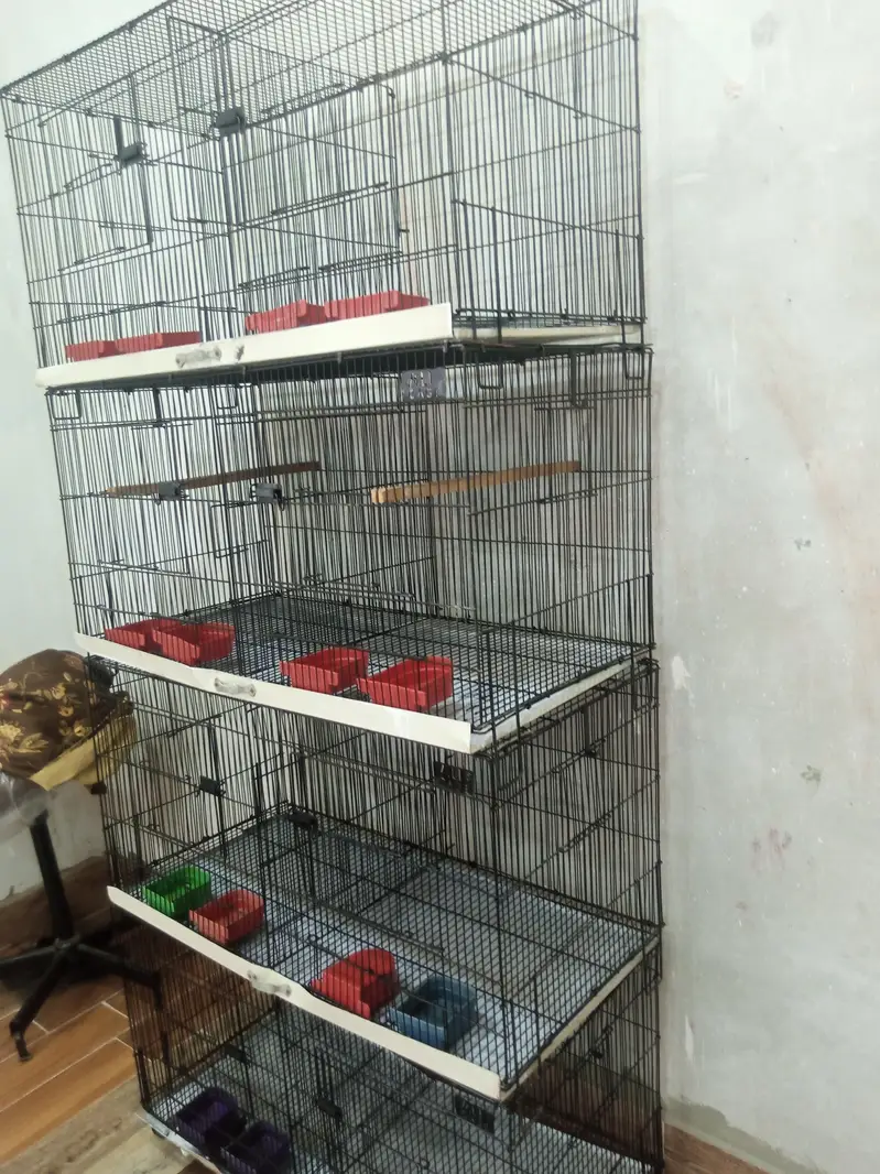 Birds cage good condition — photo 3