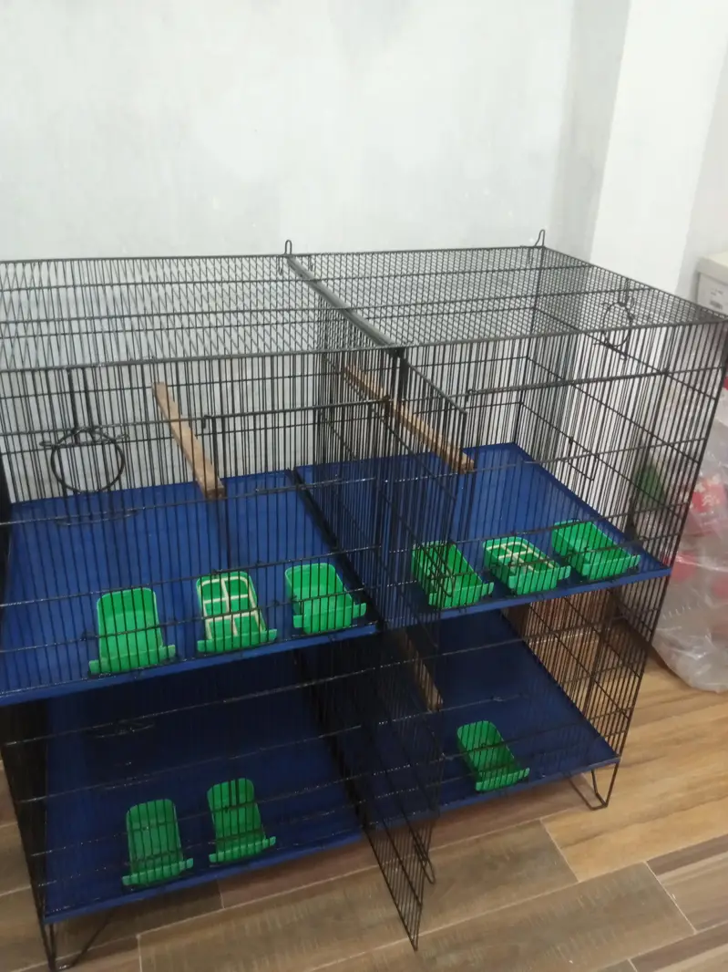Birds cage good condition — photo 4