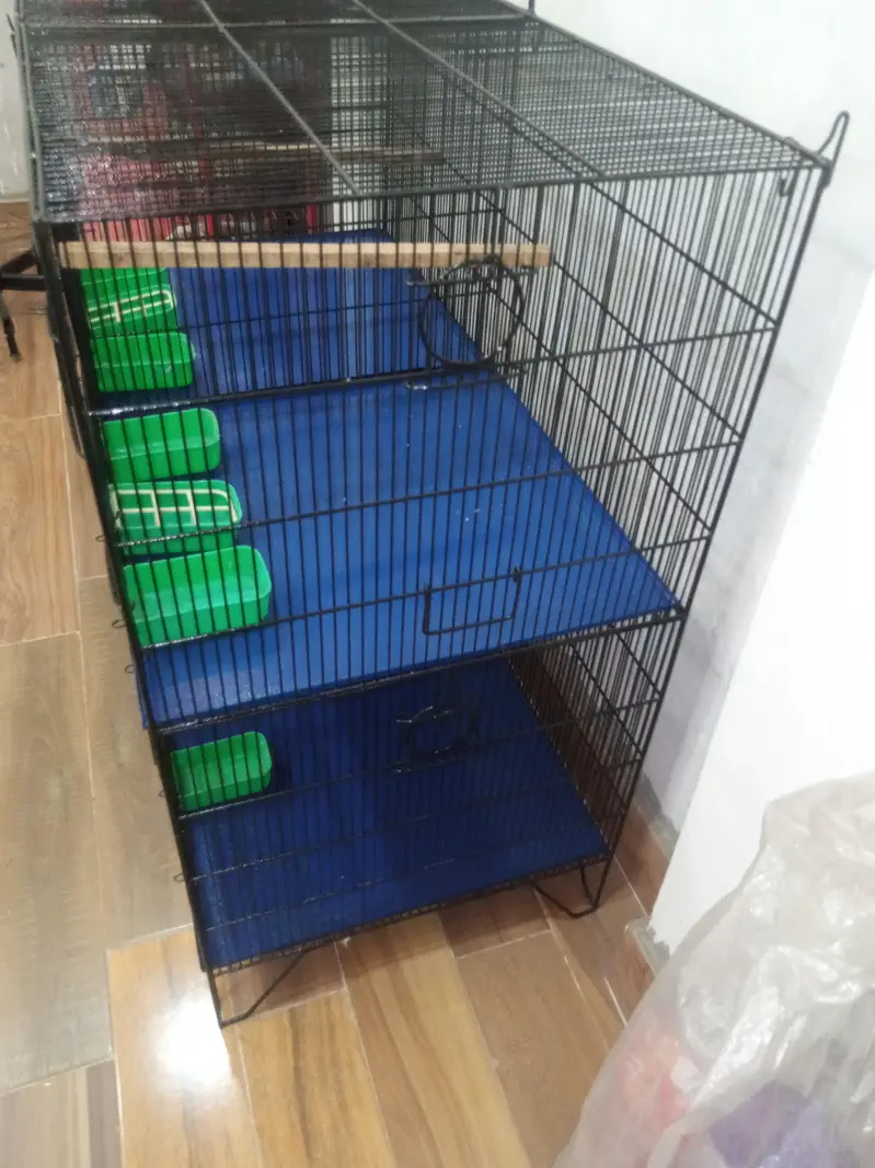 Birds cage good condition — photo 5