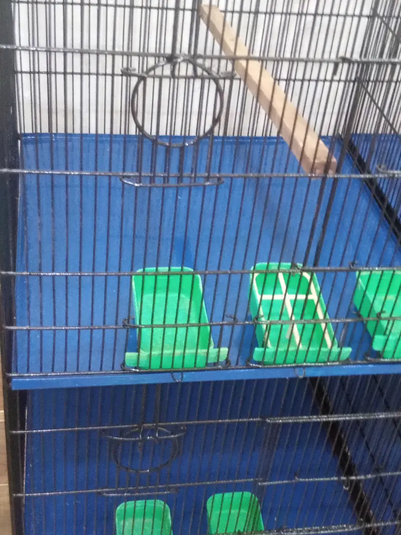 Birds cage good condition — photo 6