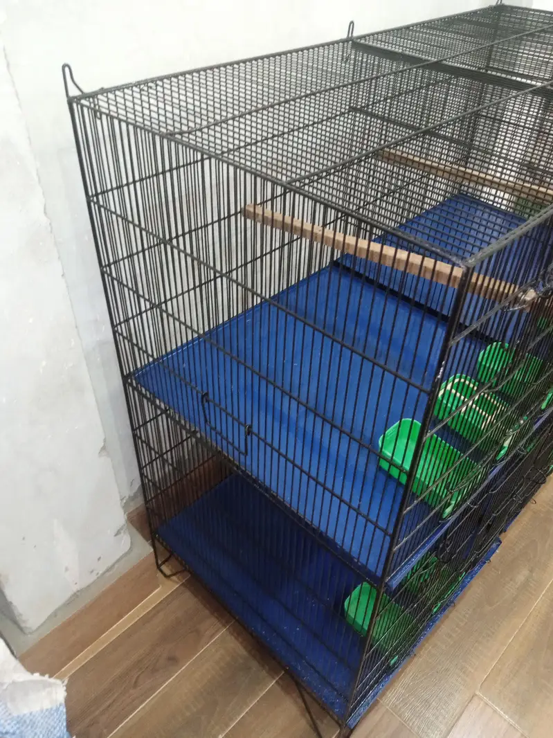 Birds cage good condition — photo 7