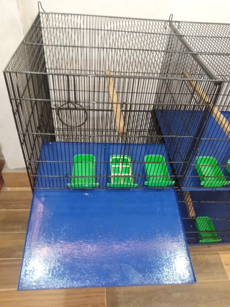 Birds cage good condition — photo 8