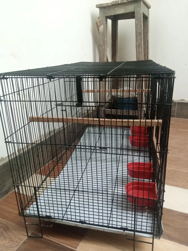 Birds cage good condition — photo 9