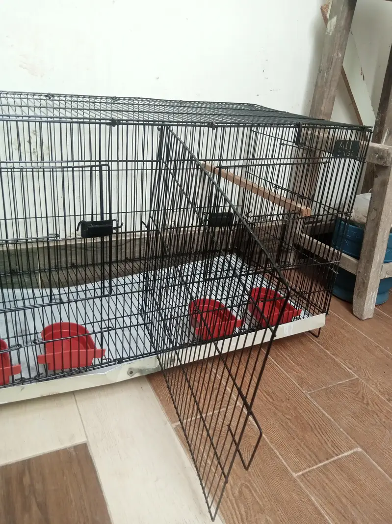 Birds cage good condition — photo 11