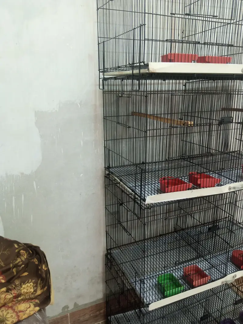 Birds cage good condition — photo 12